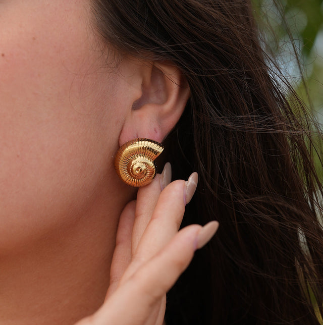 Chunky Shell Earrings