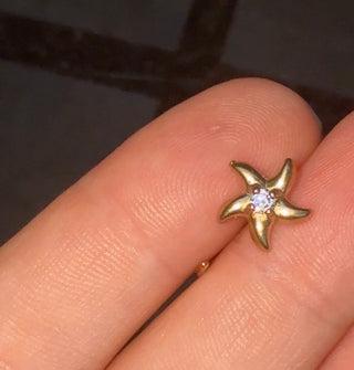 Sea Star Comfort Earrings - PreOrder