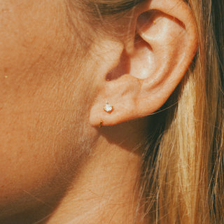 Summer Star Comfort Earrings - PreOrder