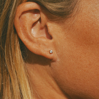 Summer Star Comfort Earrings - PreOrder