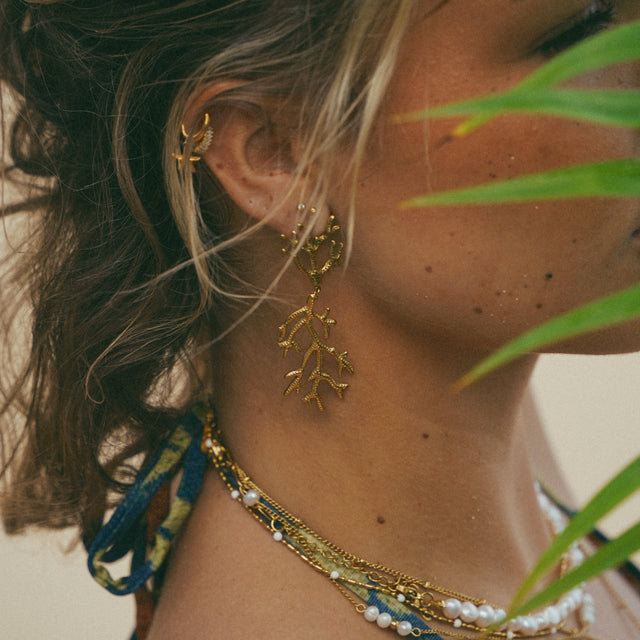 Reef Earrings